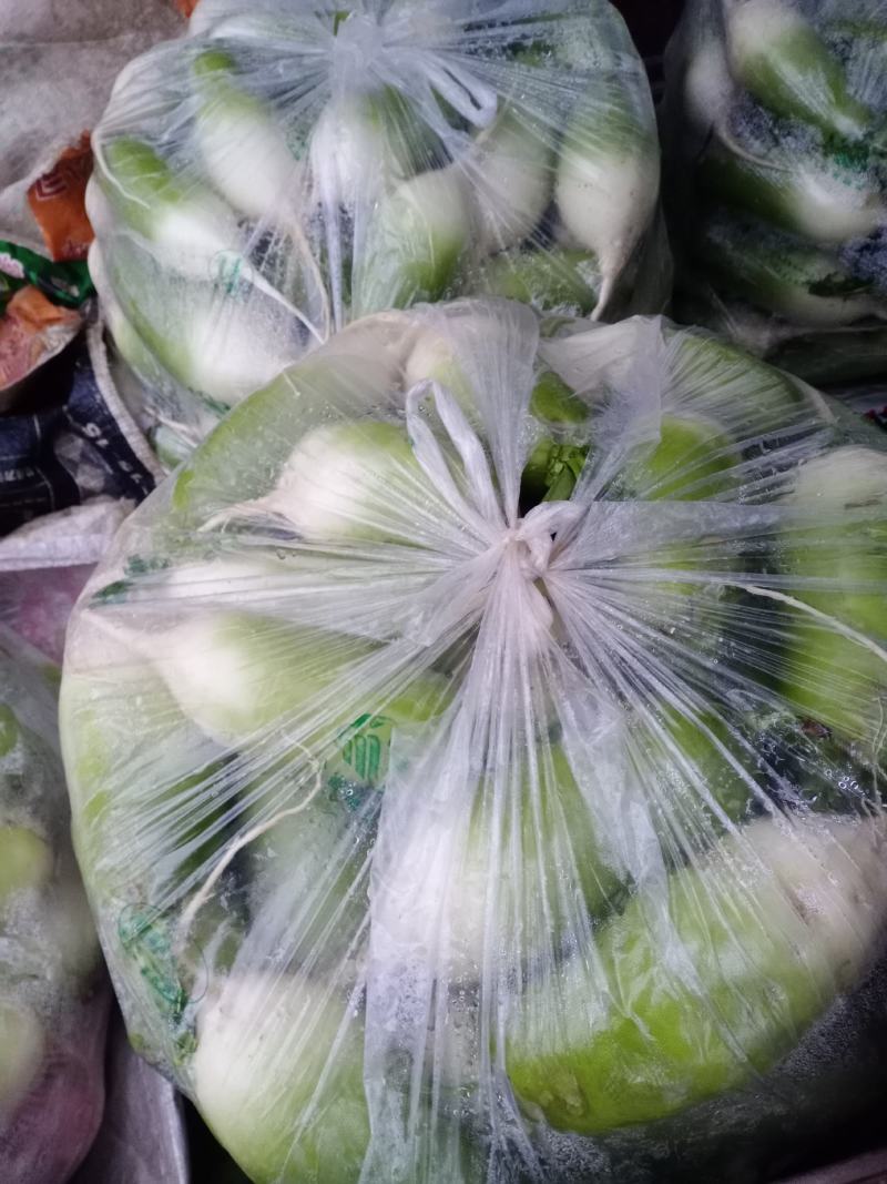 青萝卜
