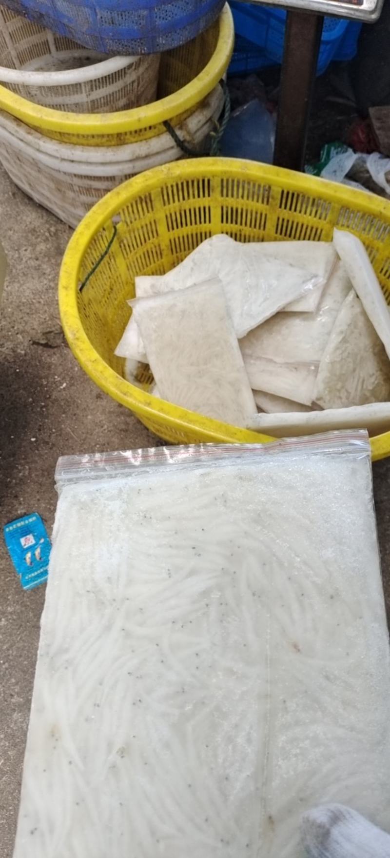 银鱼