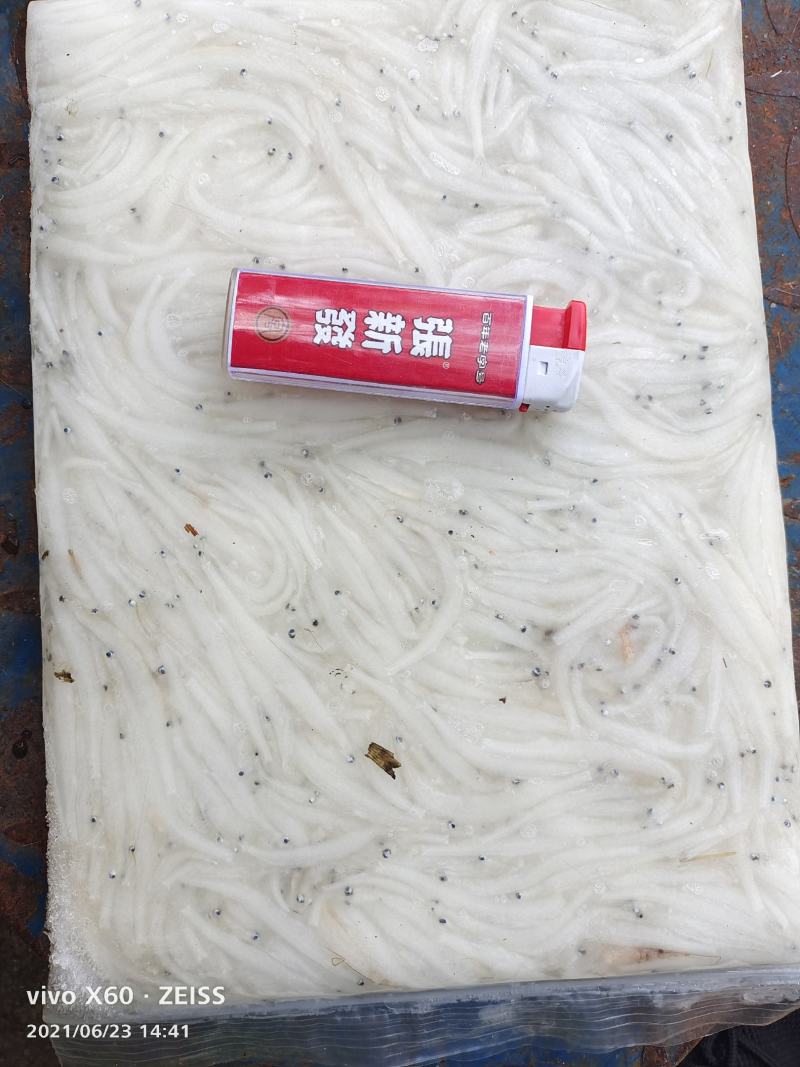 银鱼