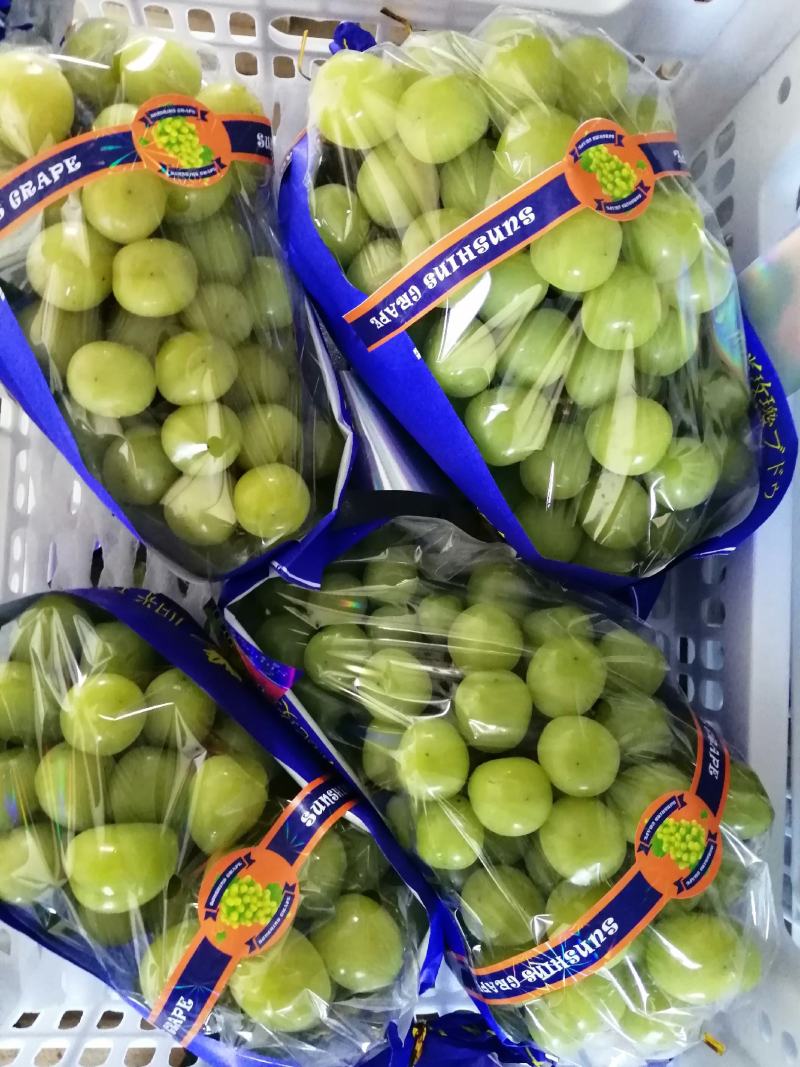 陕西大荔阳光玫瑰葡萄大量上市中，货源充足，品质好