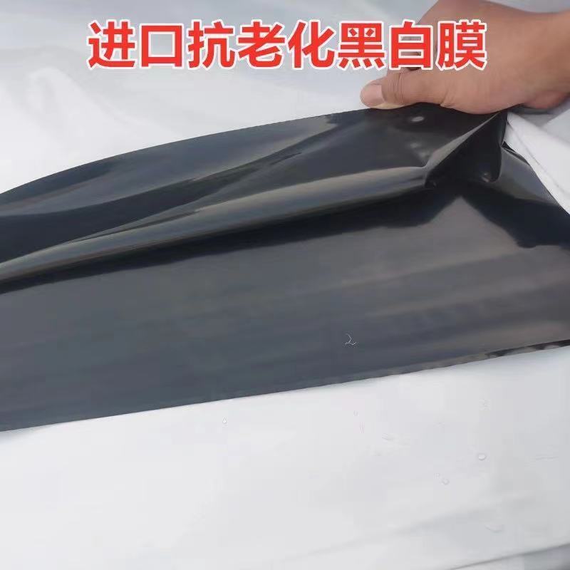 大棚膜红丰黑白膜厂家发货，量大从优，厂家直发质量保证