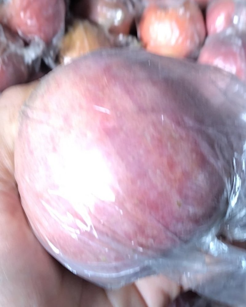 陕西膜带红富士苹果