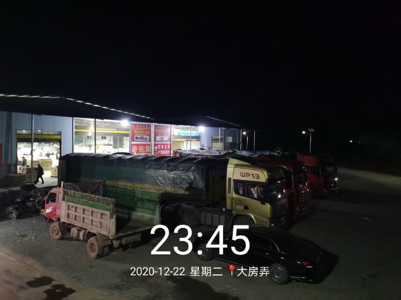 湖南麻阳冰糖橙（一件代发社团正级小果）品质保证