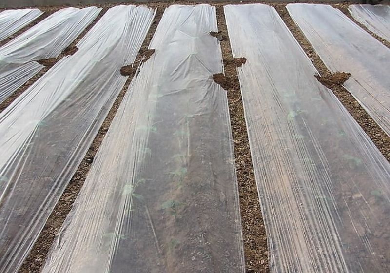 地膜黑白银灰地膜厂家直发，可自定制量大从优欢迎采购