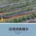 地膜黑白银灰地膜厂家直发，可自定制量大从优欢迎采购