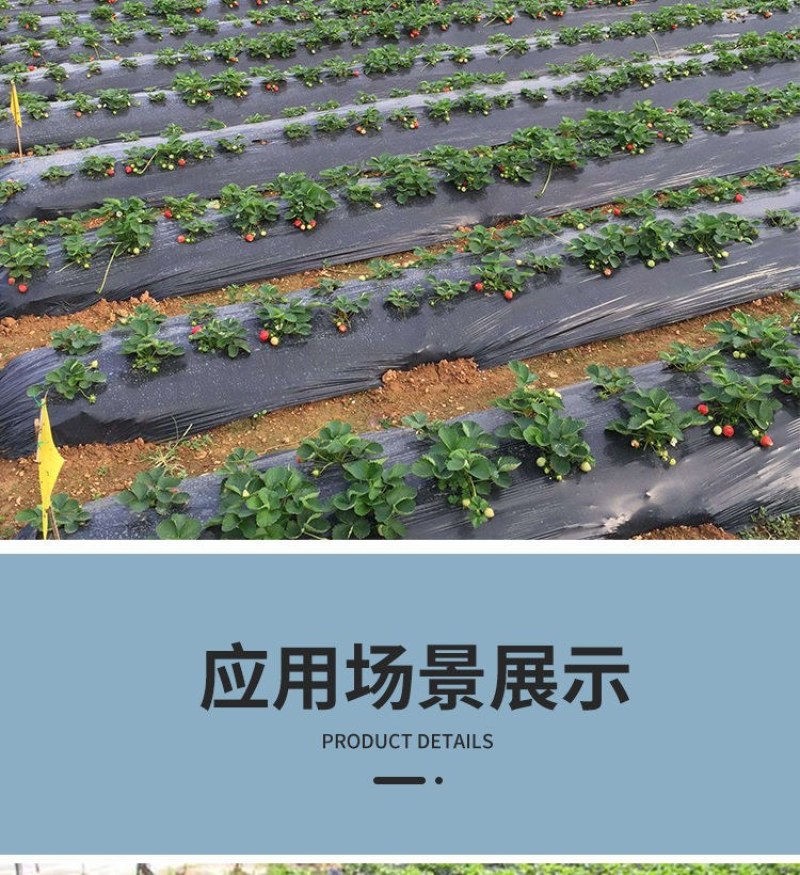 地膜黑白银灰地膜厂家直发，可自定制量大从优欢迎采购