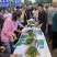 黑线椒种子欧丽414抗病强果长30公分高产高效，