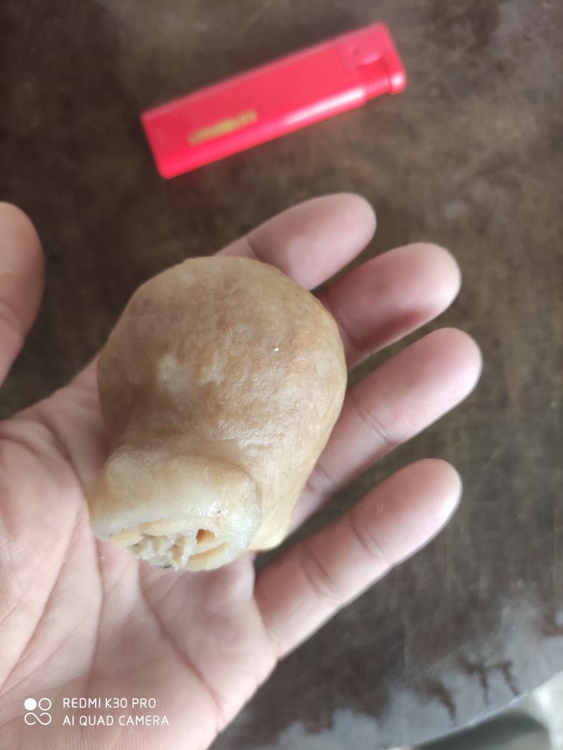 鱼肚