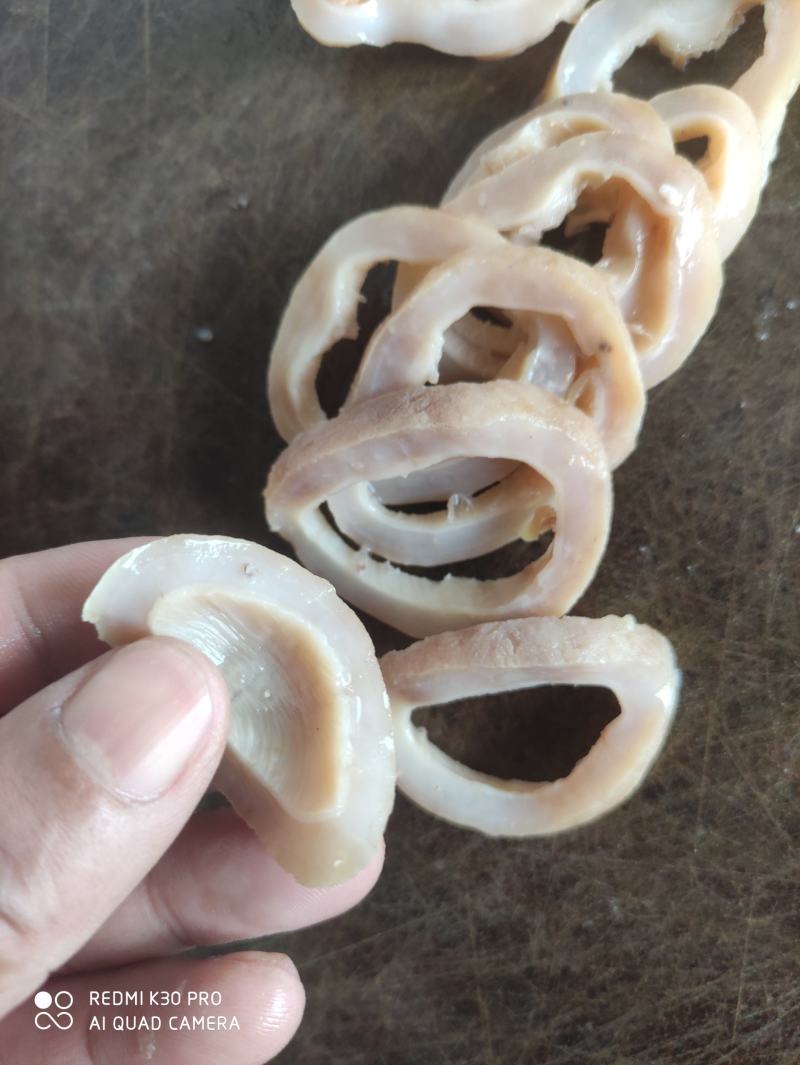 鱼肚