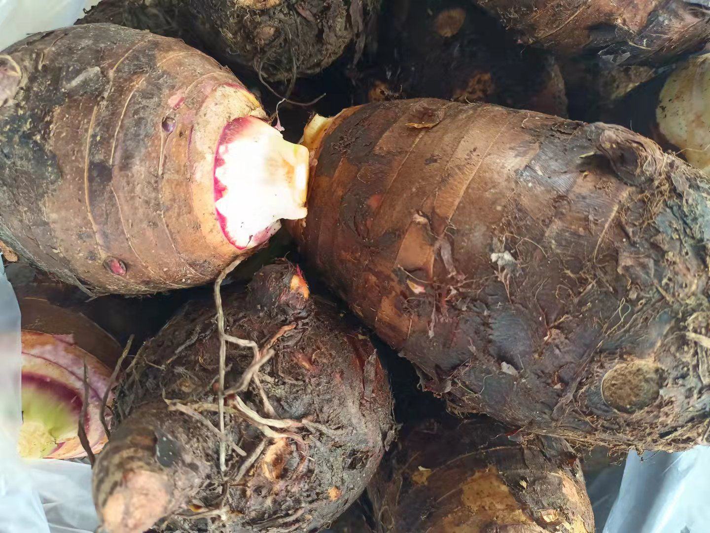 香芋营养成分柱状图示意