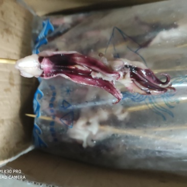 鱿鱼须烧烤鱿鱼串。
