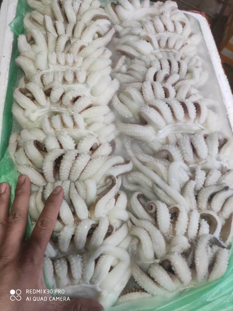 墨鱼爪墨鱼头
