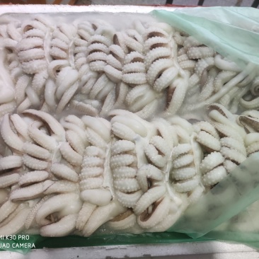 墨鱼爪墨鱼头