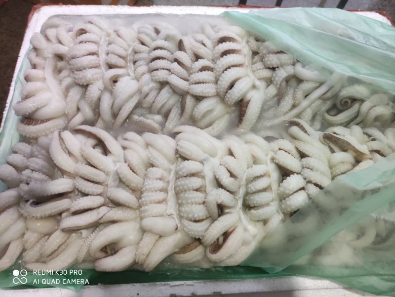墨鱼爪墨鱼头