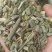 木贼木贼草中药材批发木贼质量保证量大从优