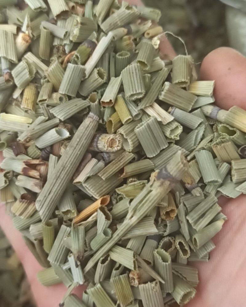 木贼木贼草中药材批发木贼质量保证量大从优