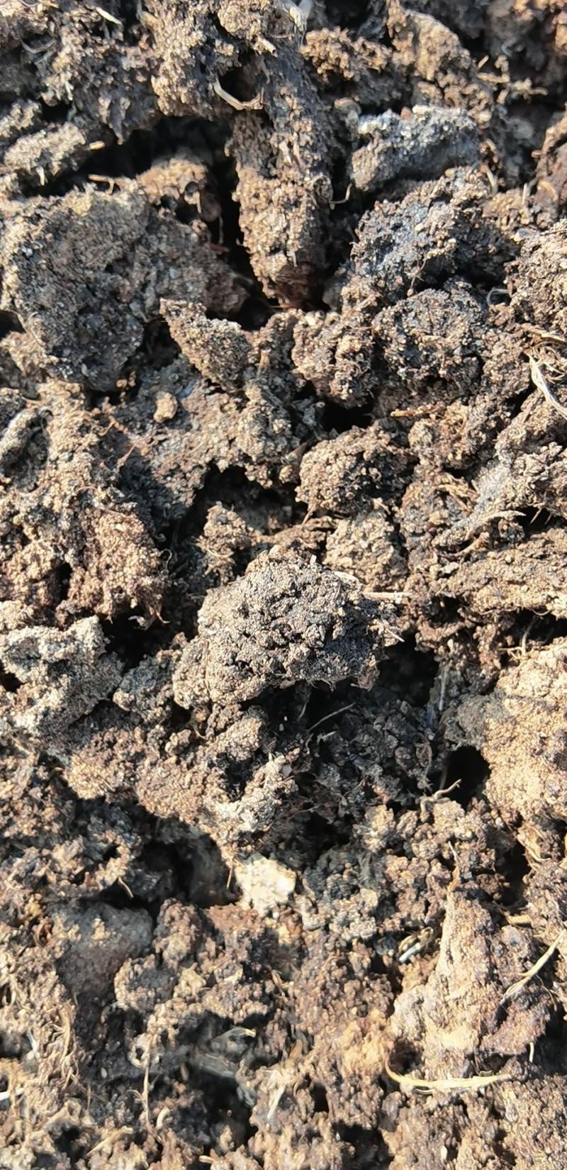 有机肥纯干鸡粪河北厂家直销实力商家果树蔬菜肥料大田鸡粪颗