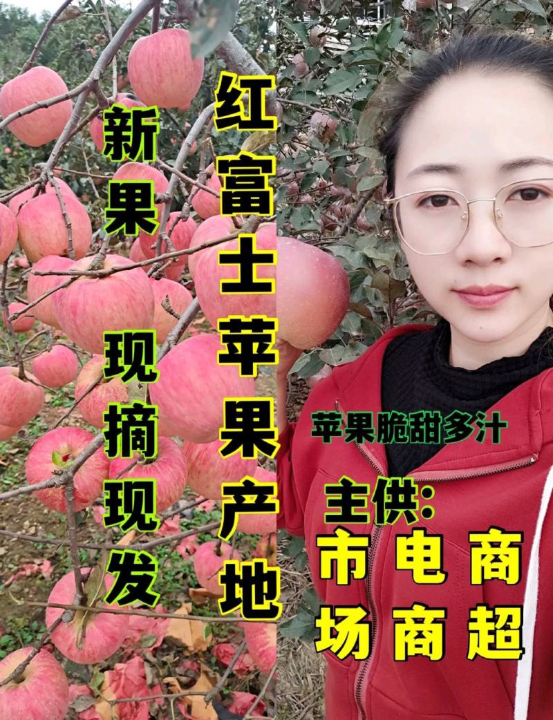 精品推荐甘肃精品红富士苹果，片红，条红，全红，支持电商