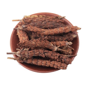 夏枯球各种中药材批发质量保证产地直销