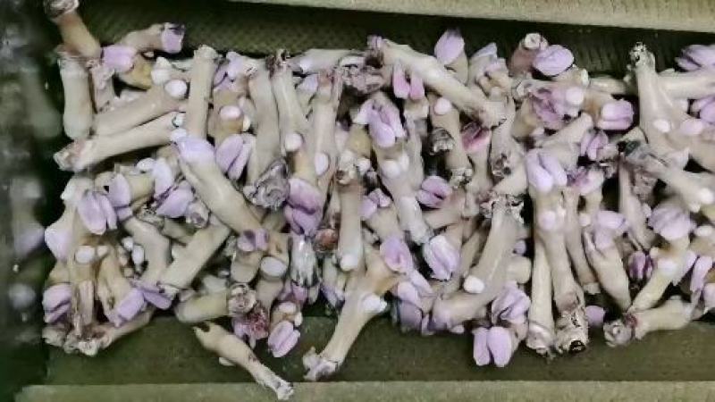 绵阳羊头，免清洗，货源充足，带毛去毛都全国发货，质量保证