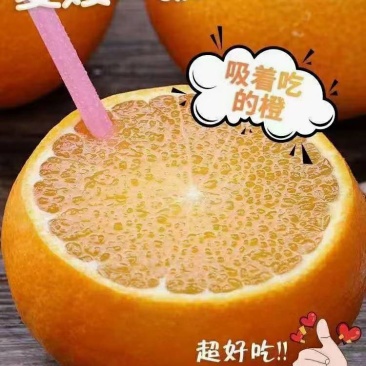 精品爱媛果冻橙，产地大量供应，现摘现发。