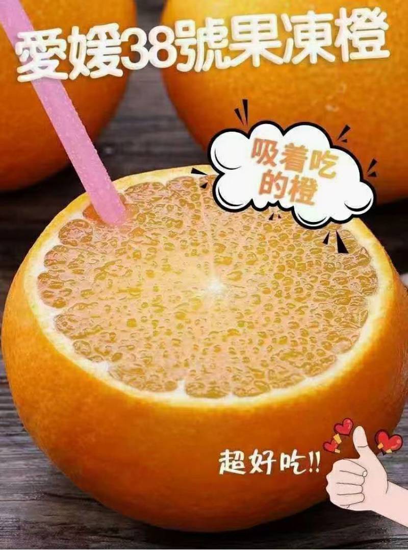 精品爱媛果冻橙，产地大量供应，现摘现发。
