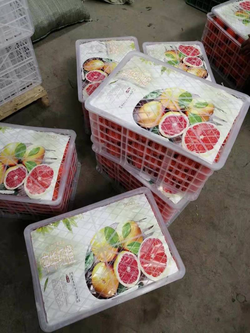 血橙中华红橙，新鲜多汁，原产地一手货源大量供应。