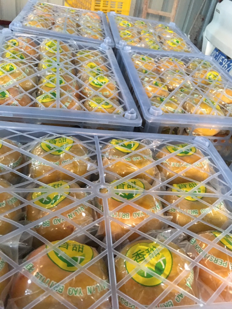 瑶山脆柿