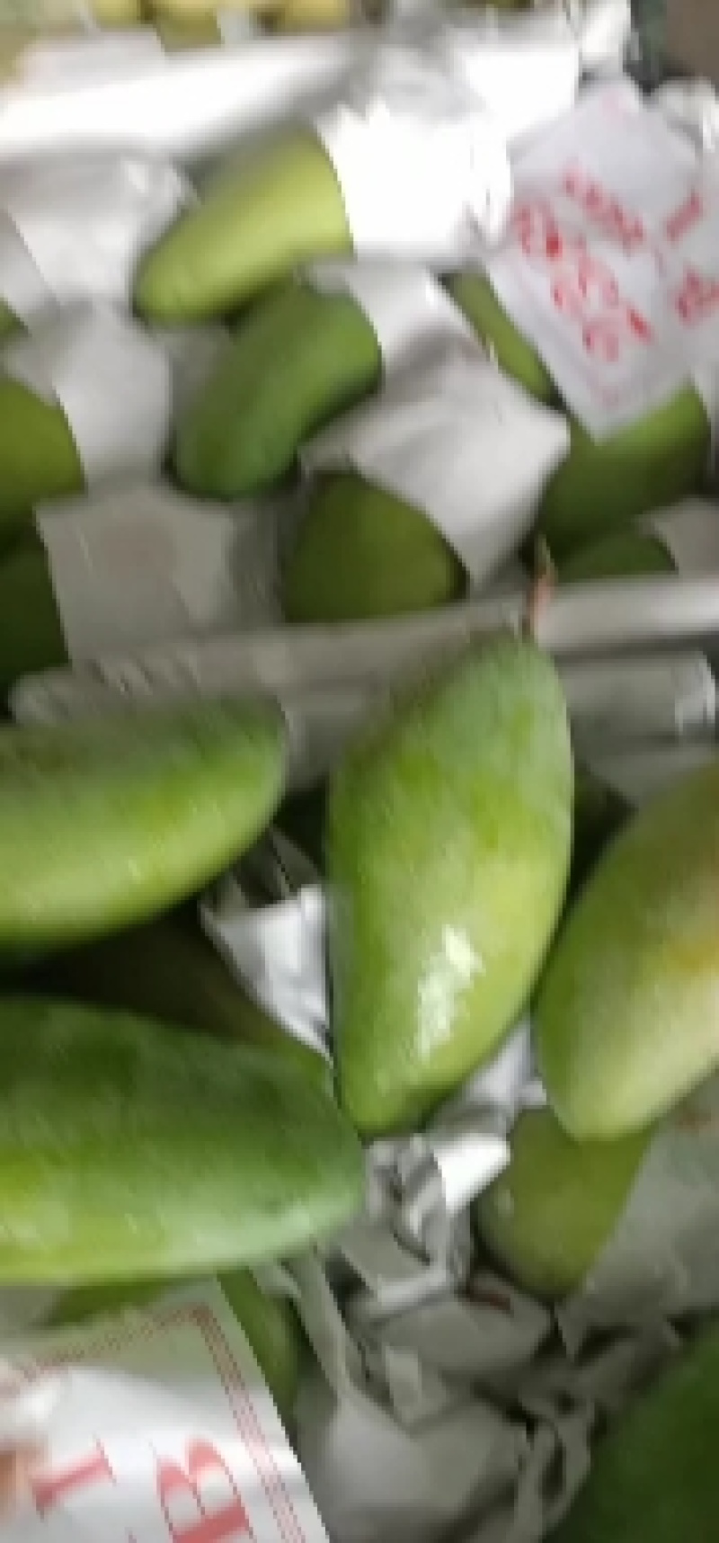 越南大青一级二级三级有货，场地直销
