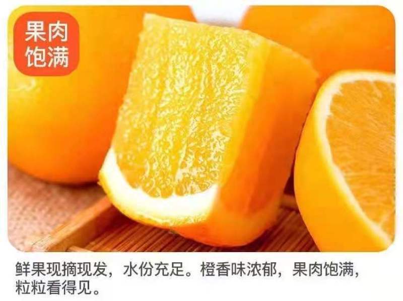 纽荷尔橙子，地头收购挂树新鲜，闪亮登场，口感甜，水分足。