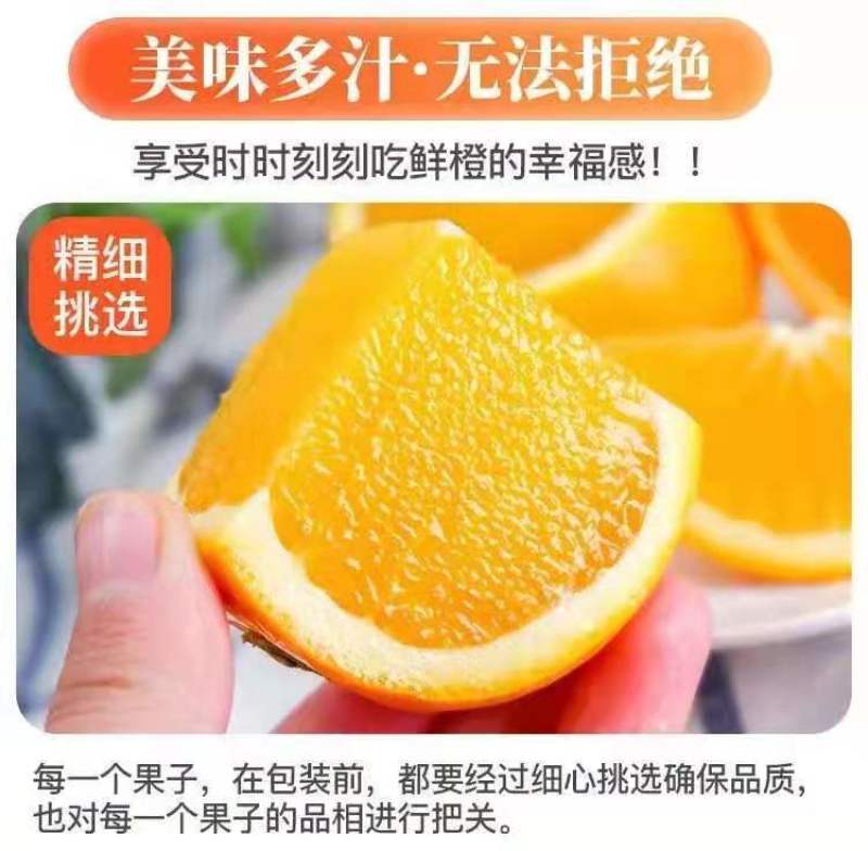 纽荷尔橙子，地头收购挂树新鲜，闪亮登场，口感甜，水分足。