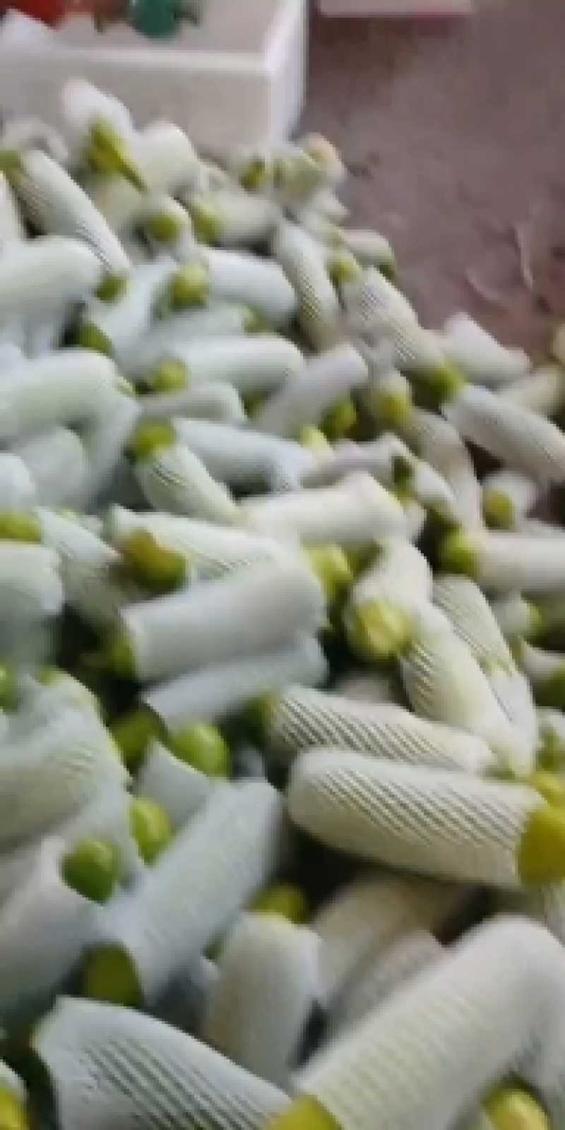 精品西葫芦，产地直发，诚信代办。物美价廉。