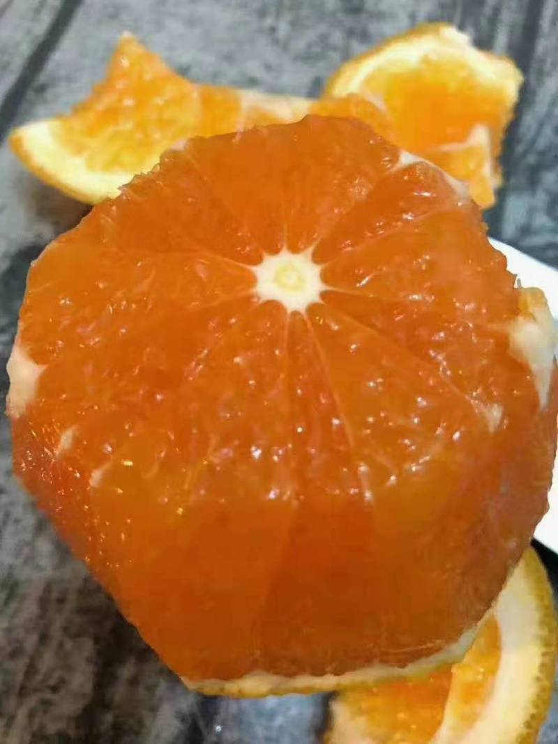精品爱媛果冻橙，产地大量供应，现摘现发。