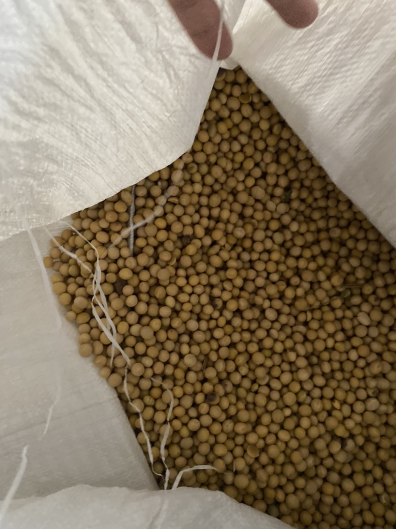 大豆蛋白42