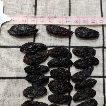 【好货精选】黑美人葡萄干，，手工挑选深受广大新老客户喜爱