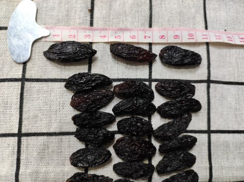 【好货精选】黑美人葡萄干，，手工挑选深受广大新老客户喜爱