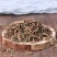 田基黄野生中药材田基黄地耳草黄花草雀舌草可打粉