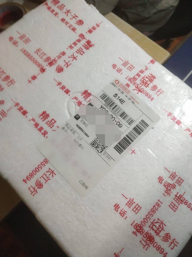 太子参小统2023新干度净度颜色都好（打粉专用）