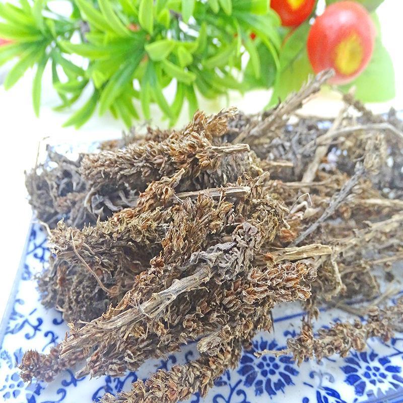 瓦松瓦松中药材瓦松花流苏阿松向天草酸塔天王铁
