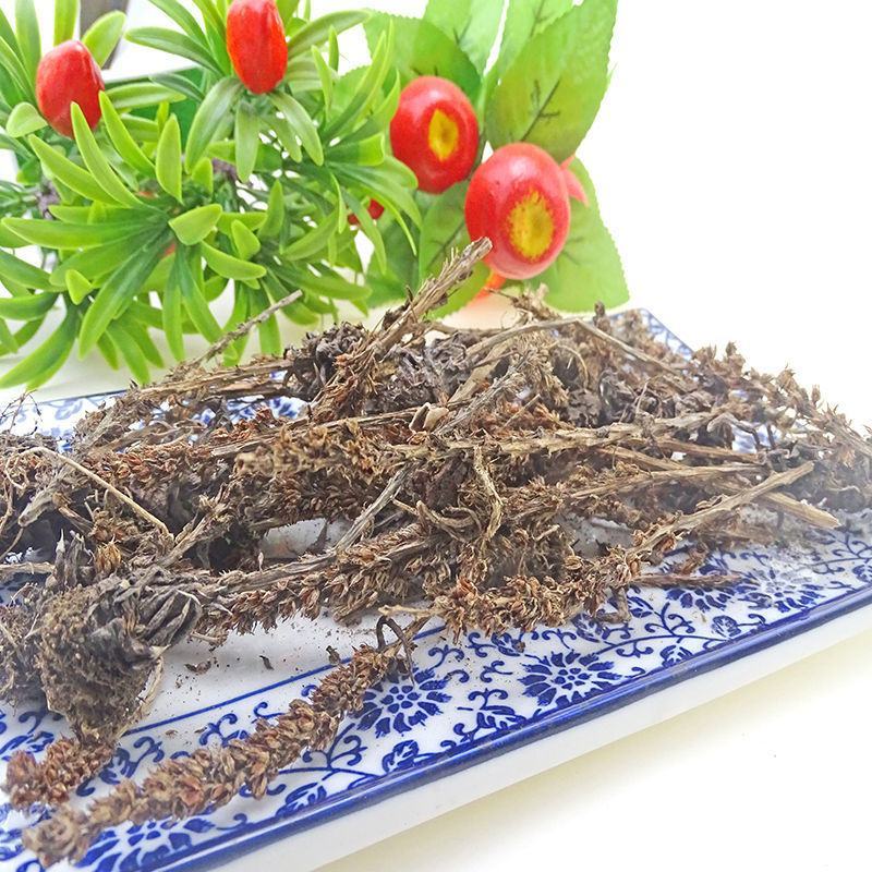 瓦松瓦松中药材瓦松花流苏阿松向天草酸塔天王铁