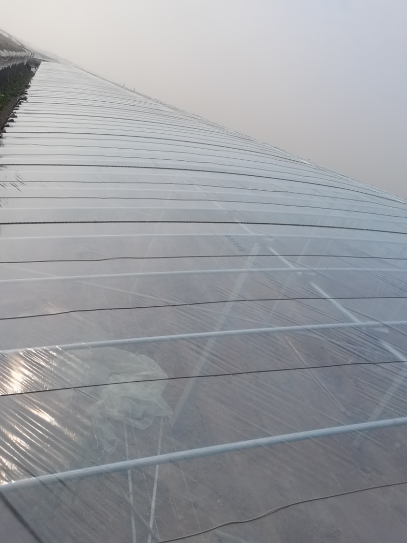 大棚配件泉林牌模棚模厂家直销诚信经营质量保证欢迎老板下单
