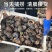 海螺批发鲜活超大海螺现捕现发活海螺水产螺类海鲜