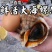 海螺批发鲜活超大海螺现捕现发活海螺水产螺类海鲜