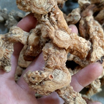 湖南产地多花姜型黄精干货，统货、去皮货、可挑选中大货