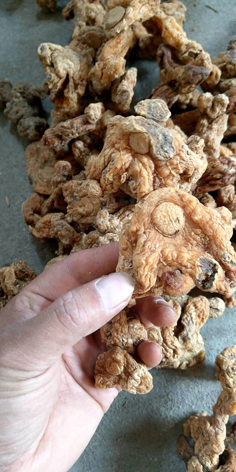 湖南产地多花姜型黄精干货，统货、去皮货、可挑选中大货