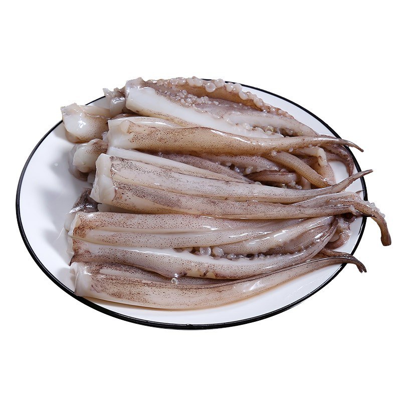 蓝鲸鱿鱼须