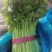 芹菜，西芹，聊城产地，芹菜大量供货，货源大，支持各种包发