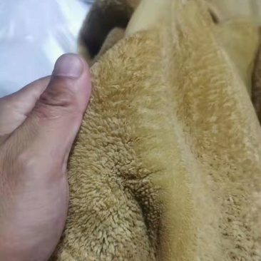 清水牛肚，纯干货，精修无油，全国冷链均可发货