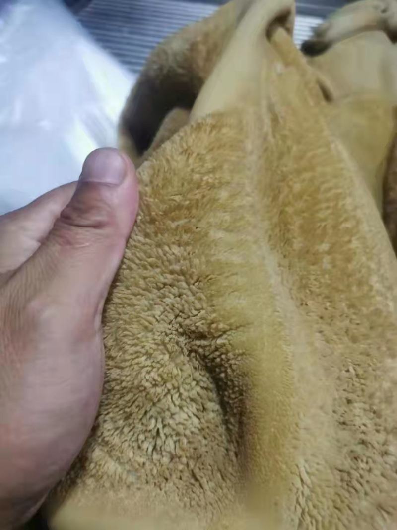 清水牛肚，纯干货，精修无油，全国冷链均可发货