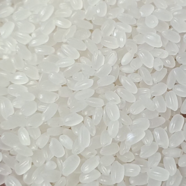 大量出售东北珍珠米价格便宜